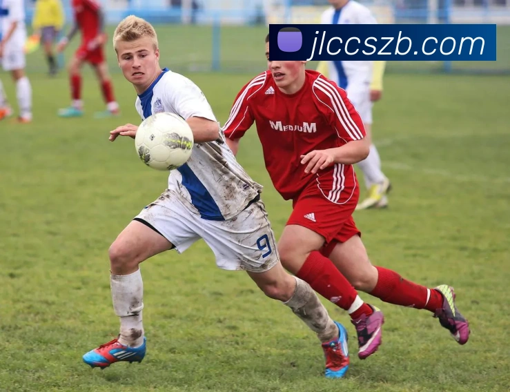 多媒体互动体验